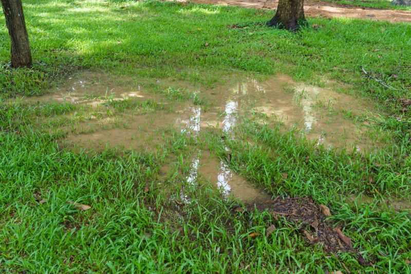 Backyard Groundwater Control